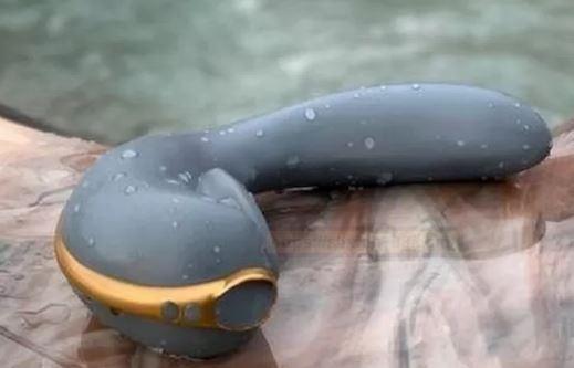 女性性玩具电子展遭禁 引发性别歧视争议