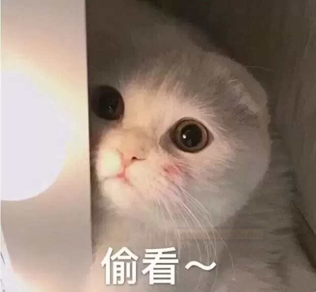 作者
			取消关注
			关注
			私信