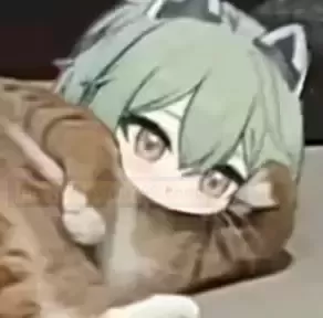 圣杯界新宠:杯多多庭爱菊奈测评