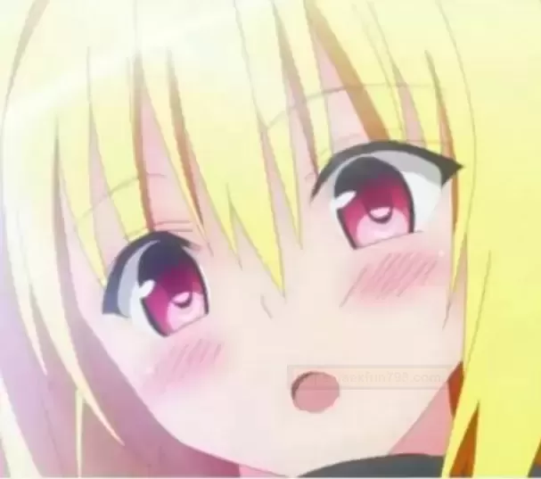 魔法导师:双宫口结构带你探索慢玩新纪元