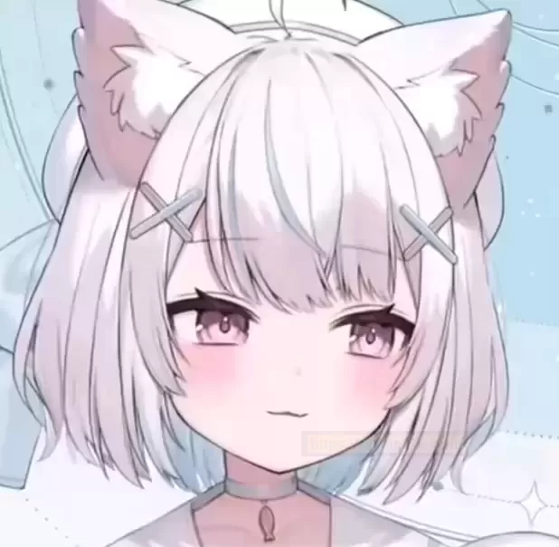 性价比怪来袭:温情彼女测评