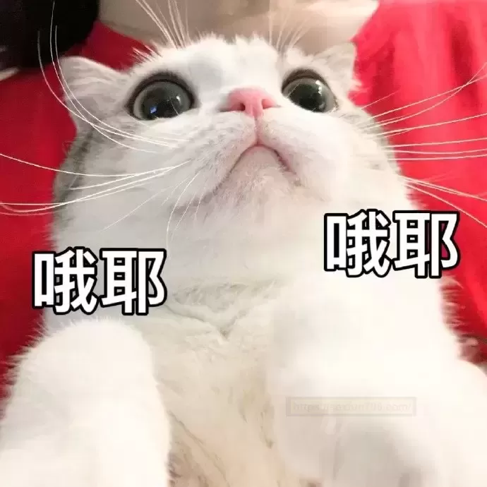 体验斐济杯新境界之柔感系列——圣女软kao