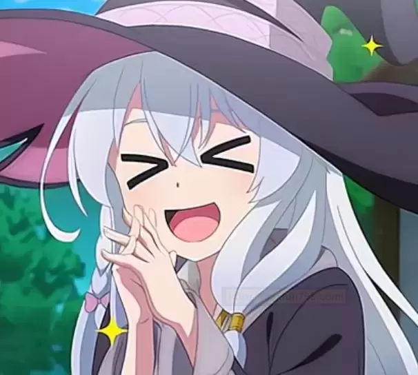 魔法导师:真正的性价比之选。