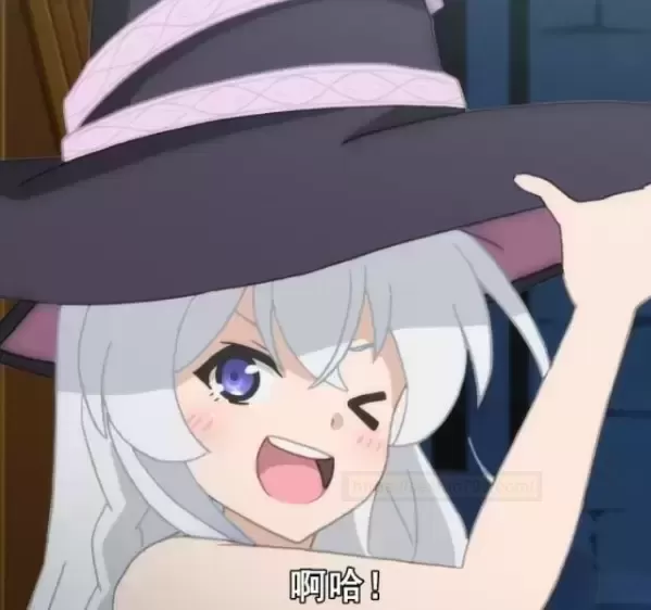 魔法导师:真正的性价比之选。