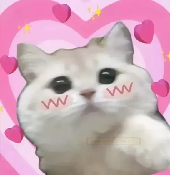 爱的初体验之软萌酱二代