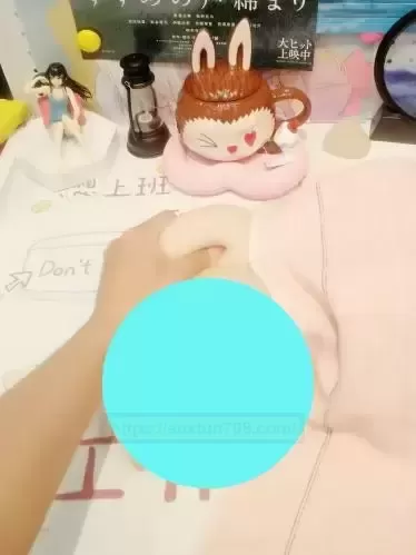 速度与激情！机车萌娘业余开箱测评