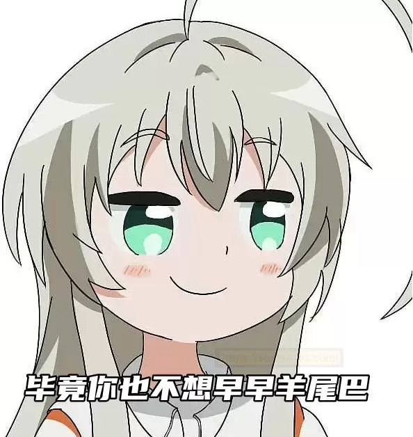 杯杯杂谈：浅谈一下新手玩杯注意事项